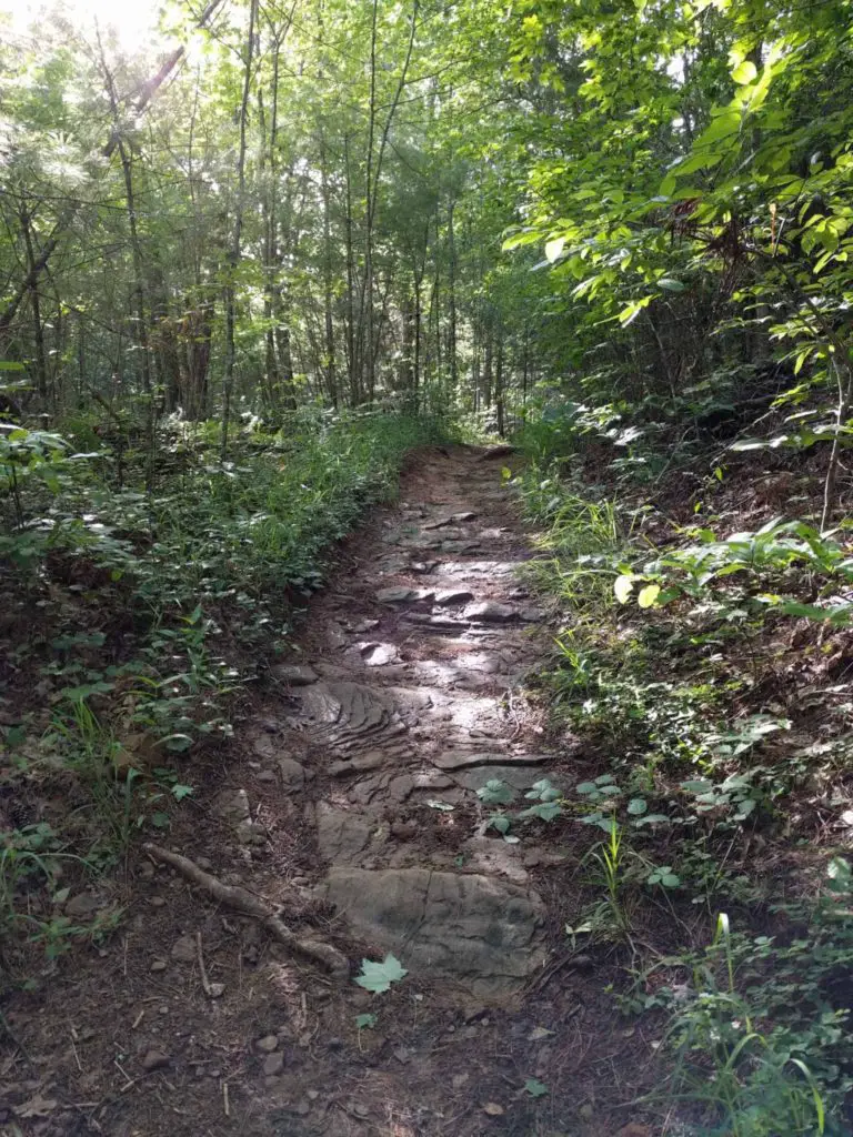 9 Best Hiking Trails North Georgia
