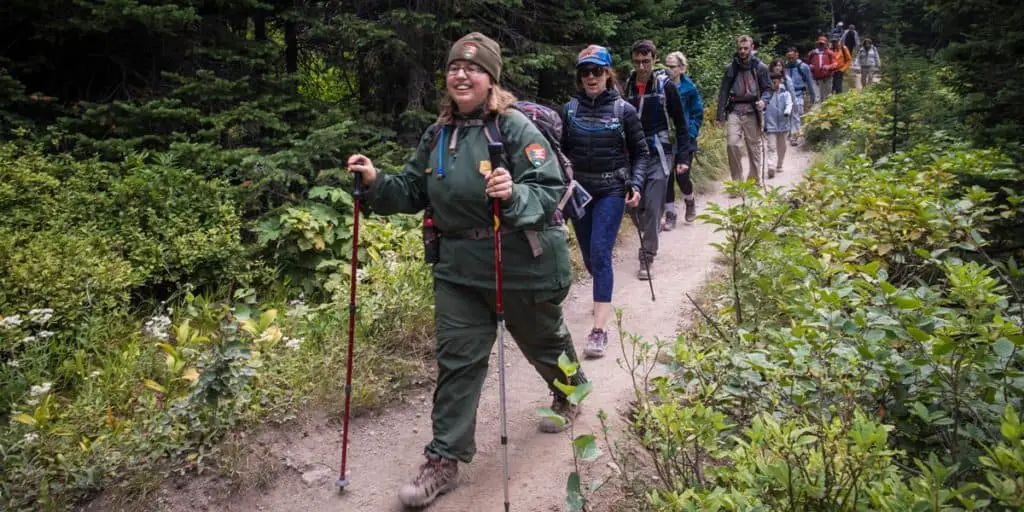 5 Best Hiking Poles (Why Do You Want A Pair?) - HikingInk