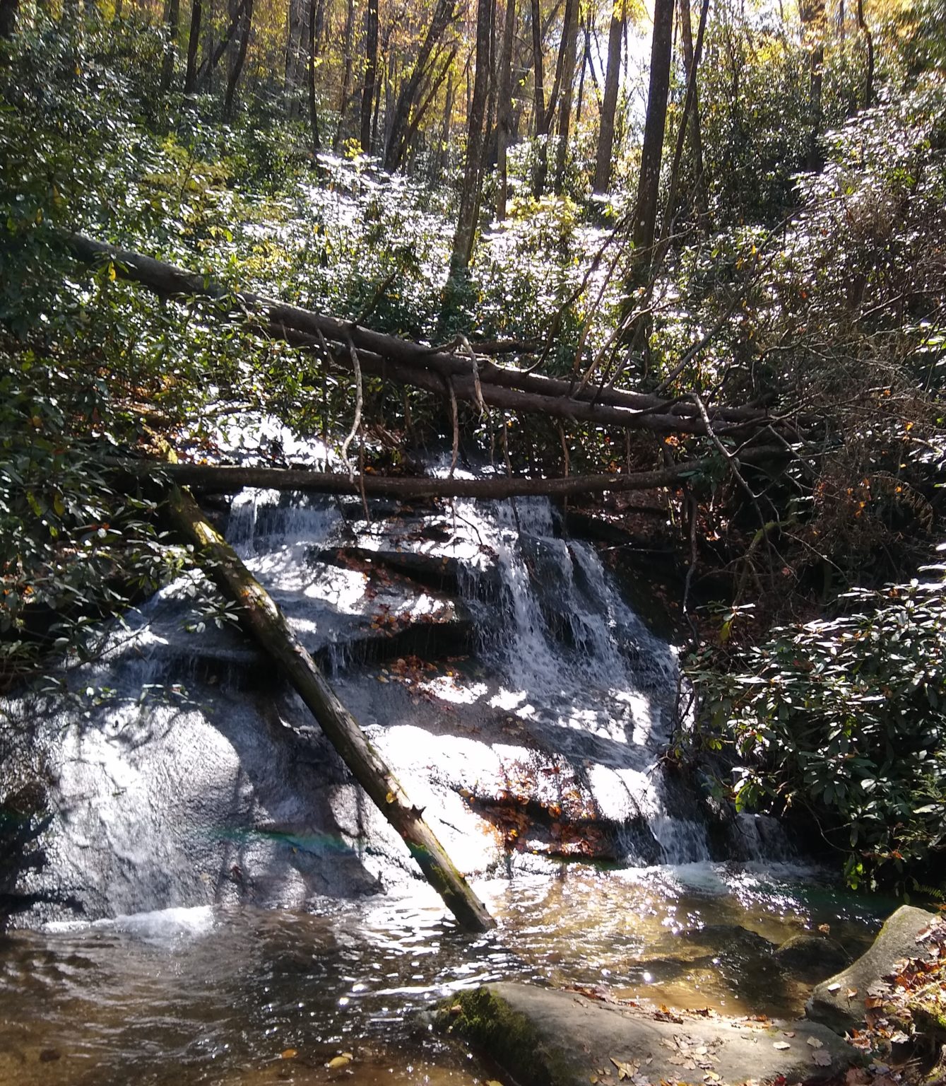4 Best North Hiking Trails With Waterfalls Near Me