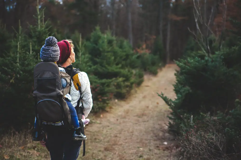 15 Of The Best Women's Hiking Pants