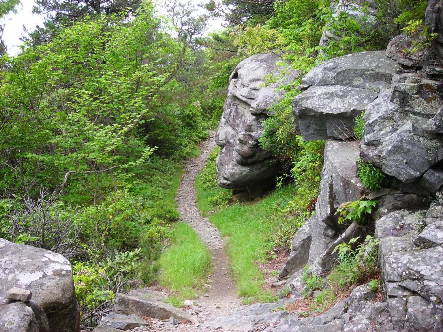 easy hiking trails near me        <h3 class=