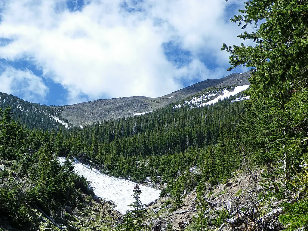 10 Great Hiking Trails In Flagstaff, AZ