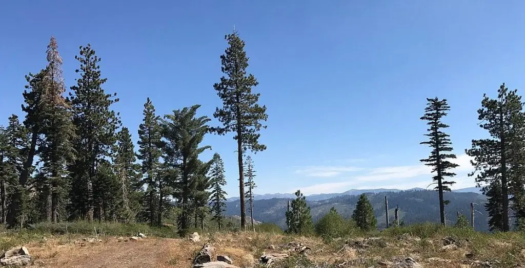 best hikes in tahoe