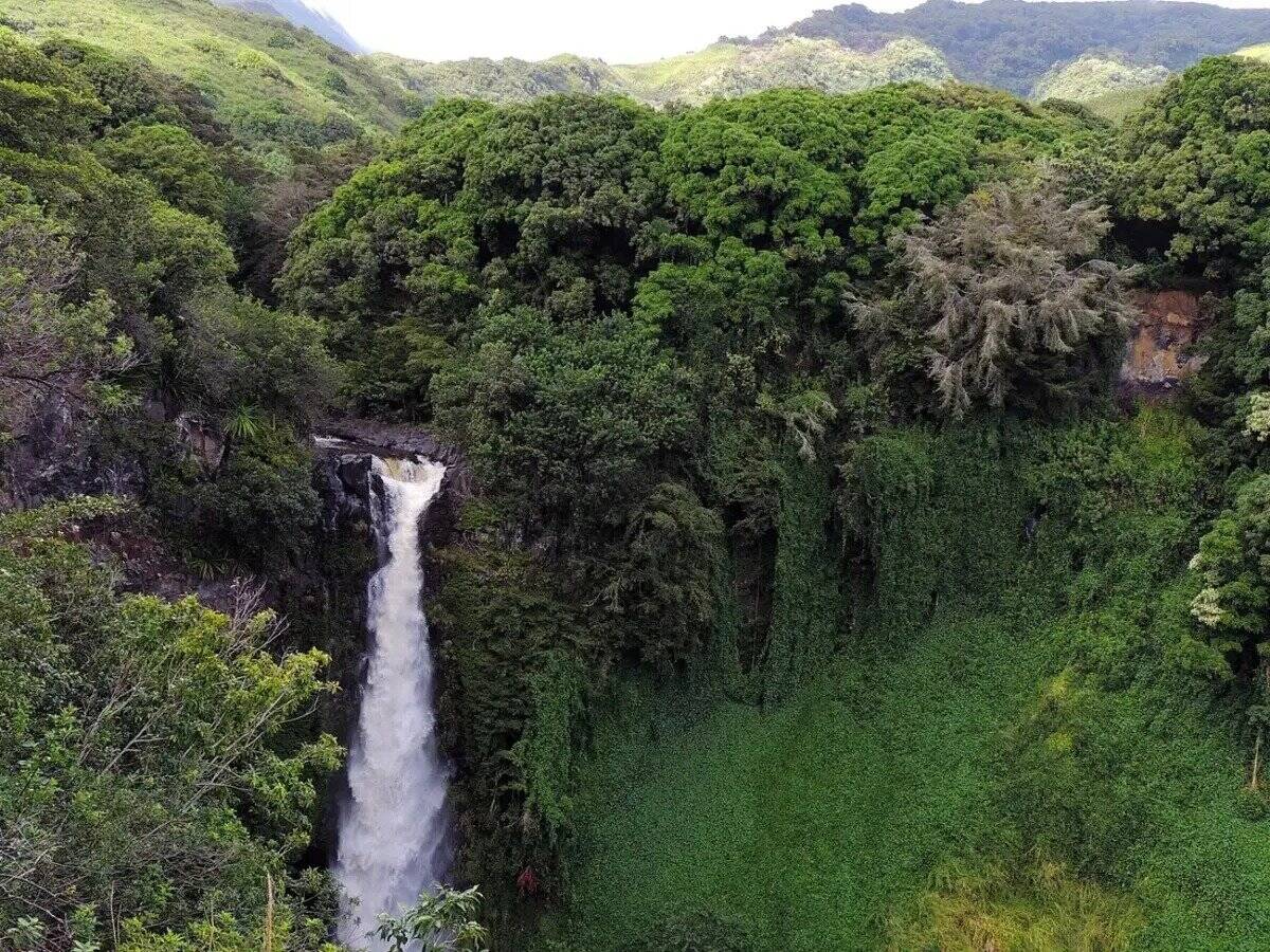 7 Best Hikes in Maui - HikingInk