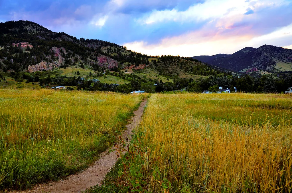 10 Best Boulder Hikes With Dogs: Dog-Friendly Trails