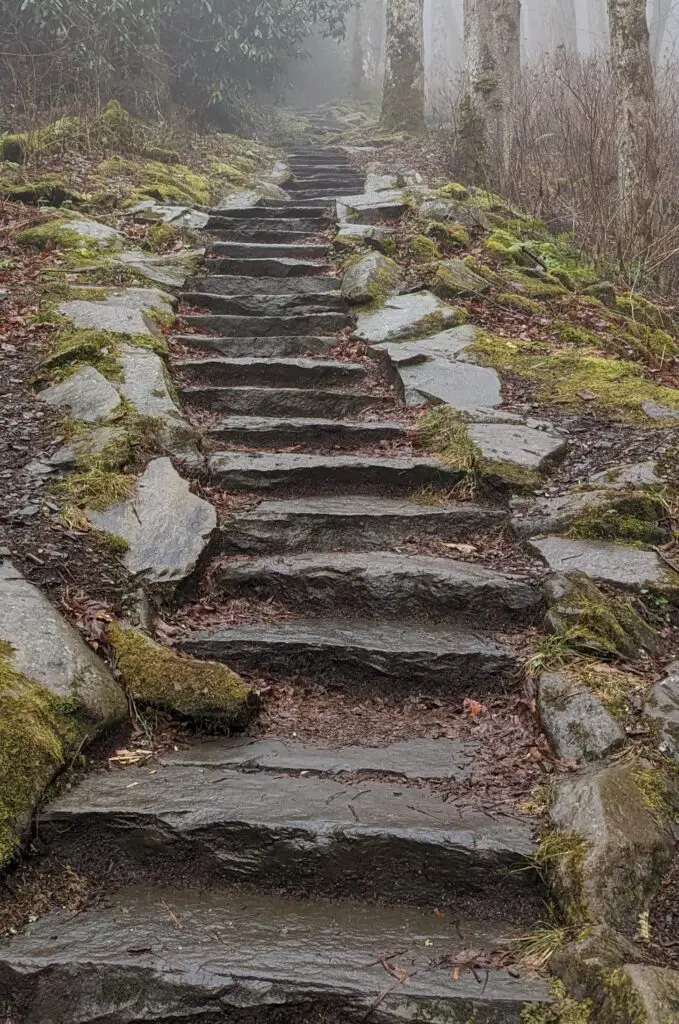 A stone staircase winds upward through a misty forest, part of one of the best hikes in Blue Ridge, GA.